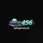 WGS456 Game