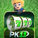 PK11 Game