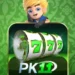 PK11 Game